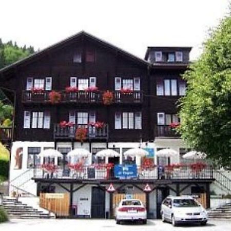 Hotel De Torgon Vionnaz Ngoại thất bức ảnh